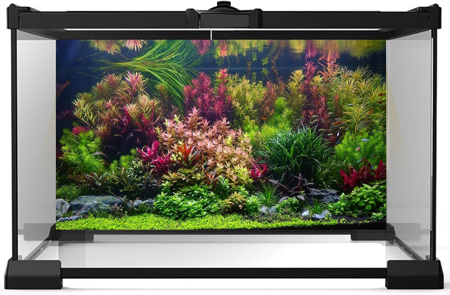 Aquarium Background Various Vivid Fresh Underwater Aquatic Plant Fish Tank Aquarium Backdrop Stone River Bed and Lake Fish Terrarium Background Decor Vinyl 24x12in