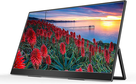27 inch Dual Mode Larger Portable Monitor 288Hz FHD
