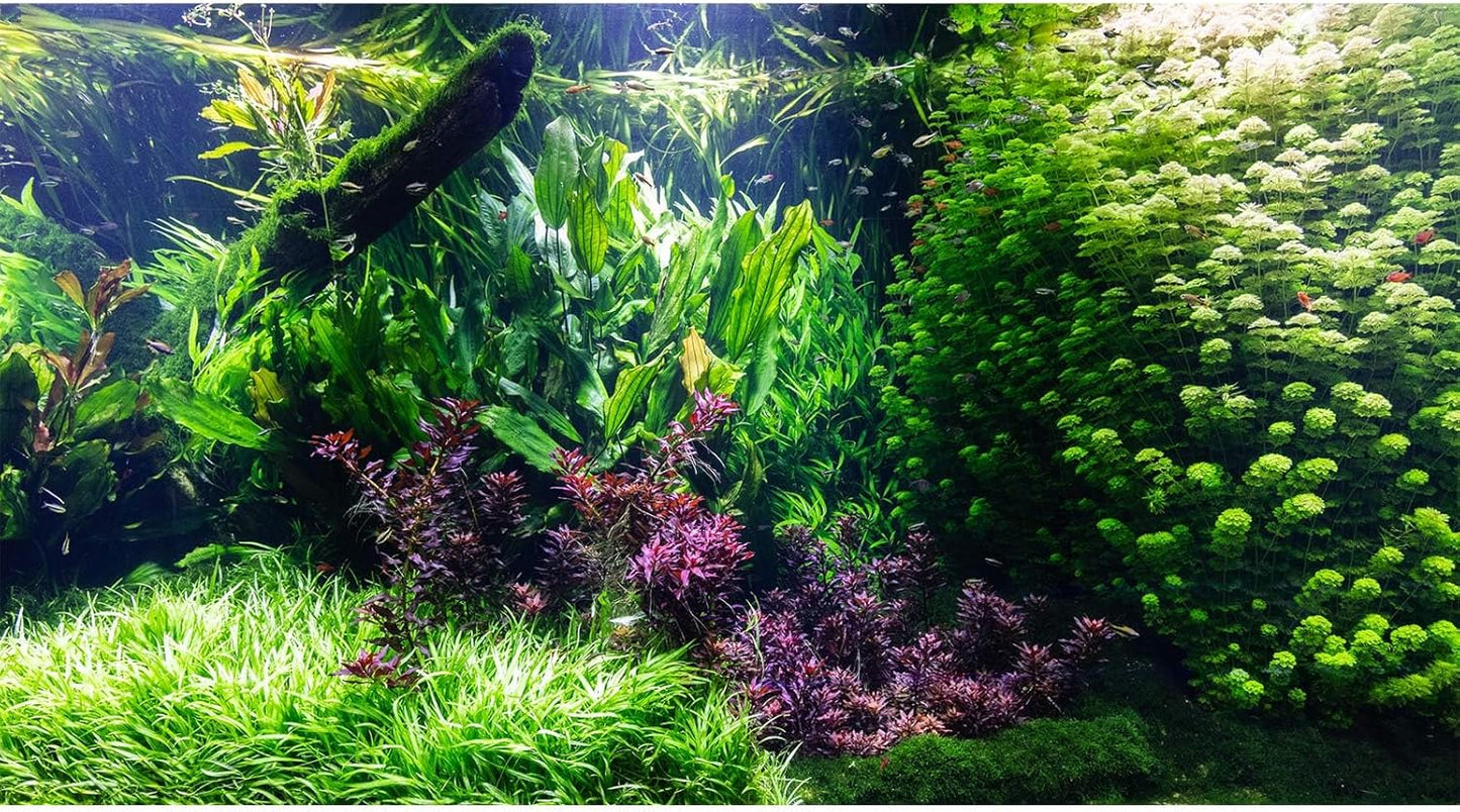 Aquarium Background Various Underwater Grass Plants Aquarium Backdrop Vivid and Fresh Green Aquatic Plants Stone River Bed and Dead Wood Tank Background Vinyl 48x20in