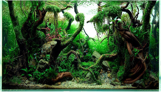 Aquarium Background Underwater Pebble Grass Leaves Aquarium Backdrop Vivid Fresh Green Aquatic Plant Stone River Bed Aquarium Backdrop Deadwood Purple Leaves Tank Background Vinyl 60x24in