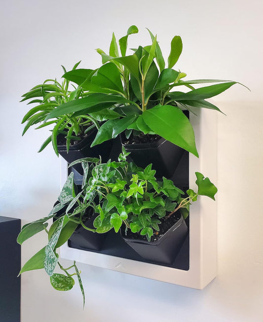 Self-Watering Wall-Mounted Planter Indoor/Outdoor Decor with 4 Pots, Easy to Use Living Wall Planters to Create Vertical Garden, Vertical Planter for Home(White)