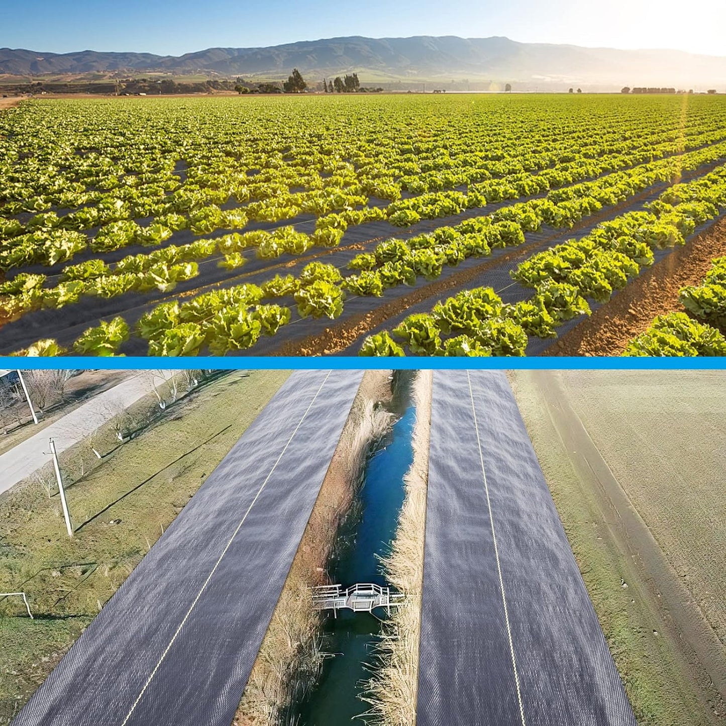 3ft x50ft Black Weed Barrier Landscape Premium Fabric-Heavy Duty Woven Ground Cloth with Superior Permeability Weed Control Convenient Design